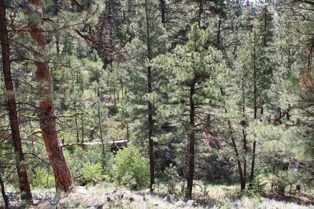 6 Pine Coulee, Cascade MT 59421