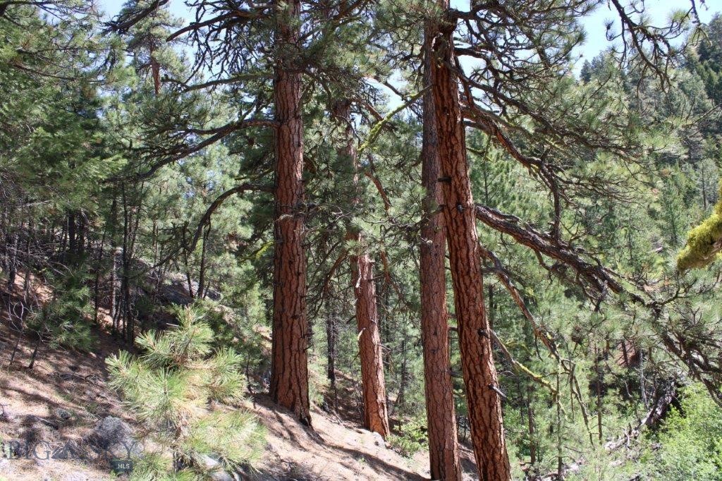 6 Pine Coulee, Cascade MT 59421