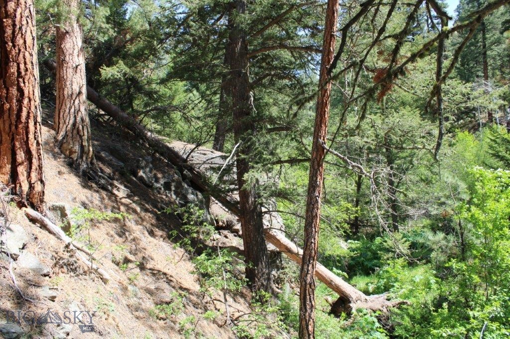 6 Pine Coulee, Cascade MT 59421