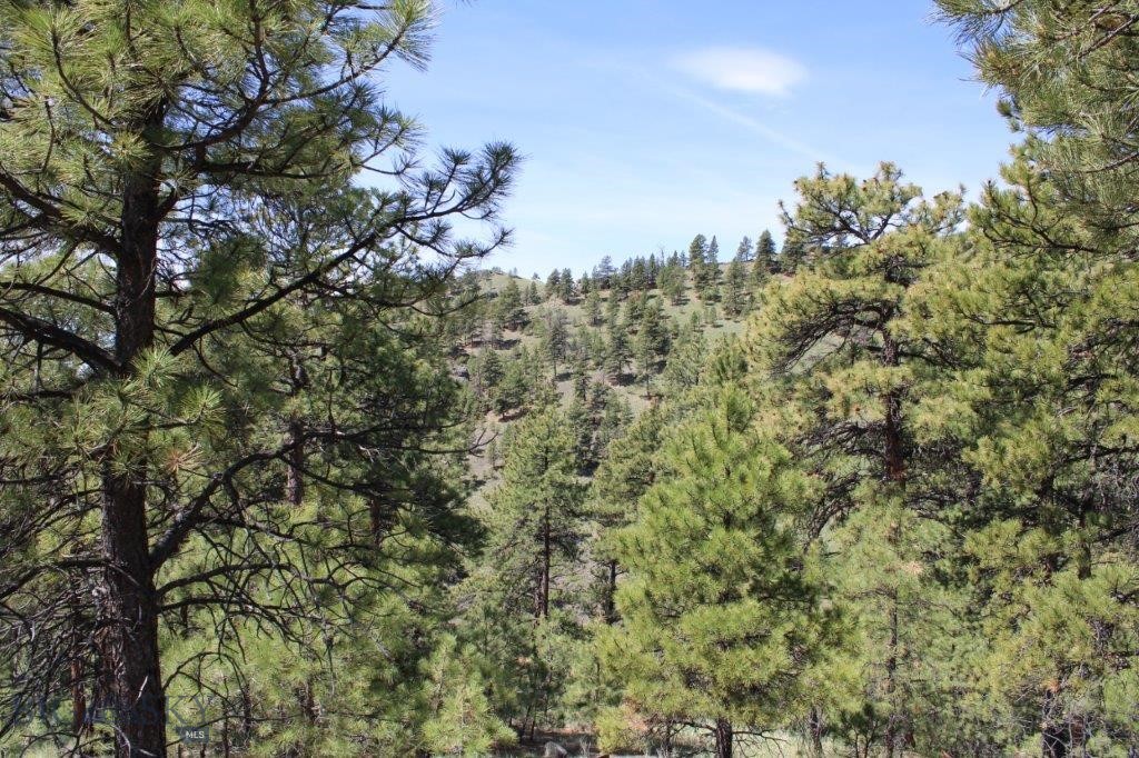 6 Pine Coulee, Cascade MT 59421