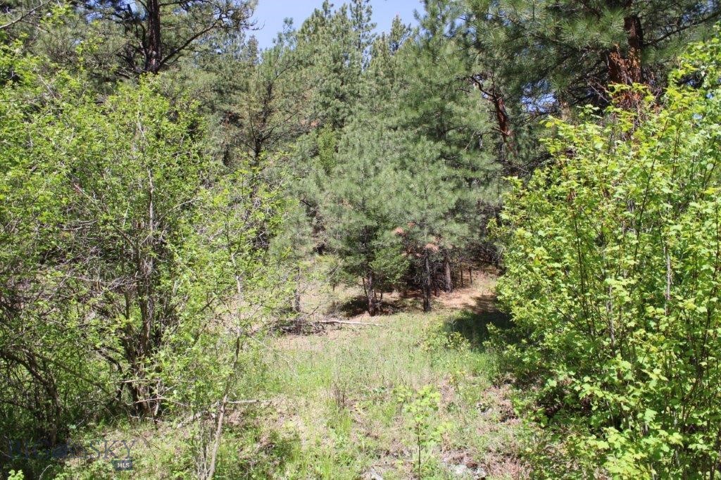 6 Pine Coulee, Cascade MT 59421