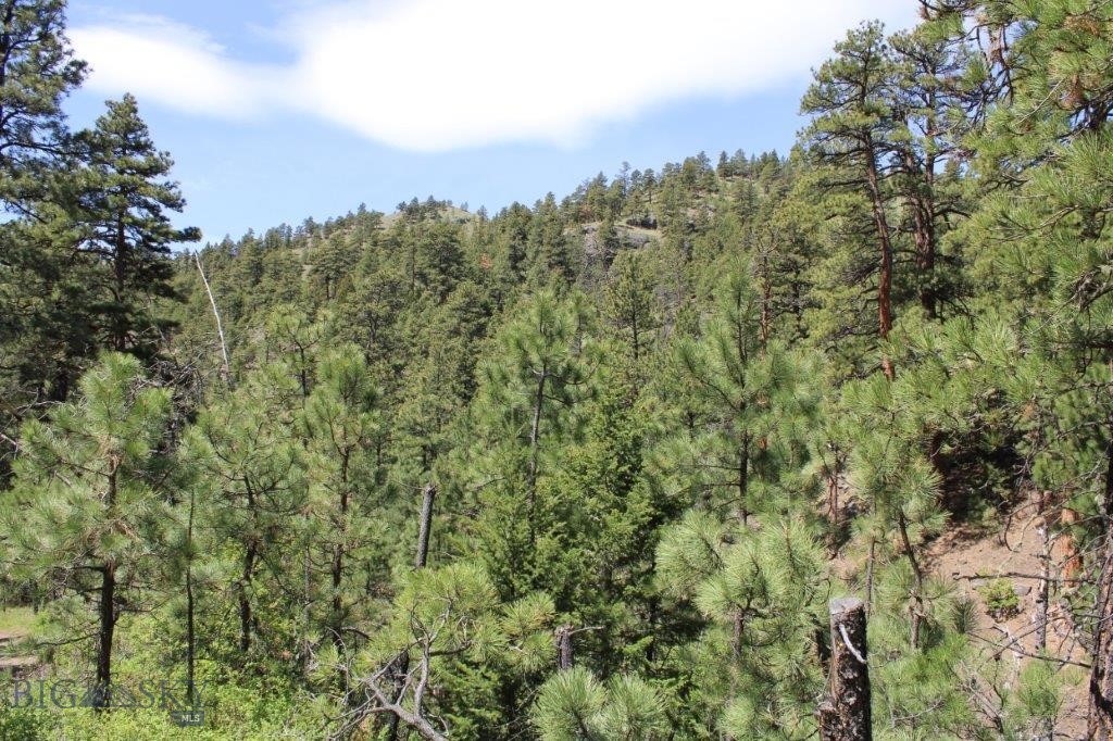 6 Pine Coulee, Cascade MT 59421