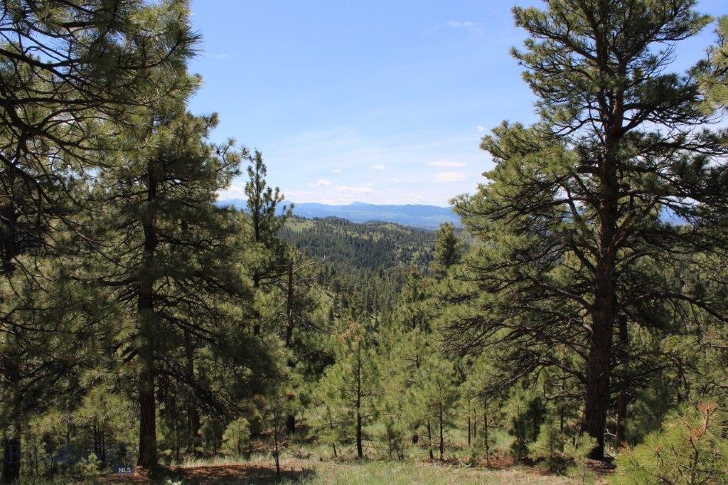 6 Pine Coulee, Cascade MT 59421