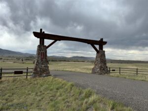 Unknown - 1