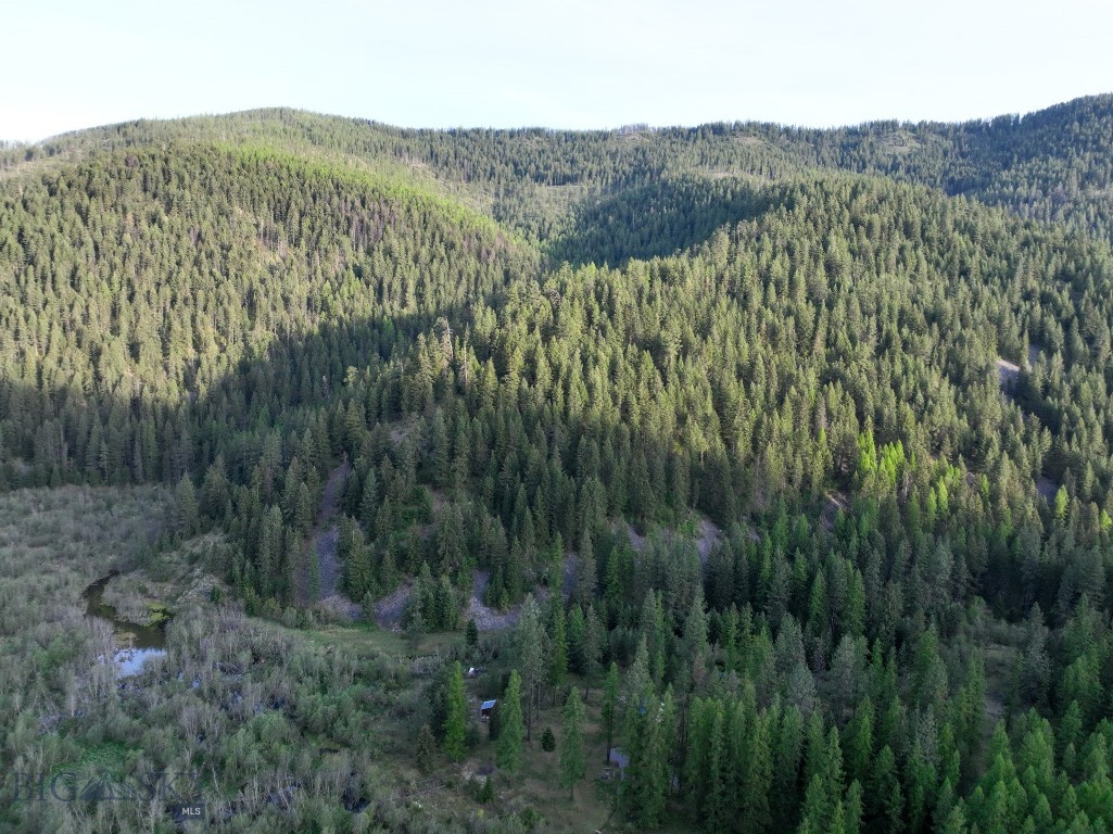 168 Hope Valley Road, Trout Creek MT 59874