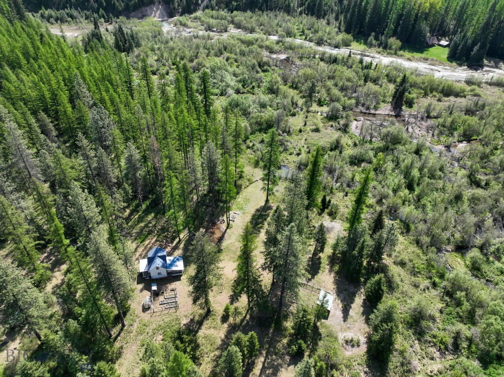 168 Hope Valley Road, Trout Creek MT 59874