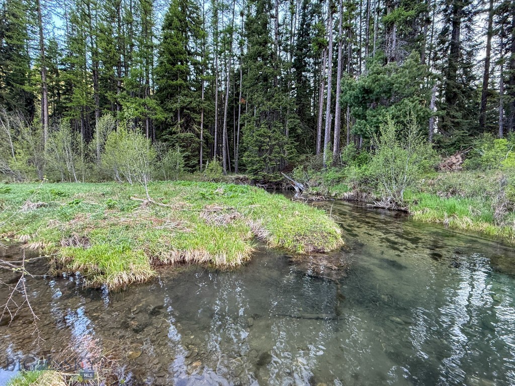 168 Hope Valley Road, Trout Creek MT 59874