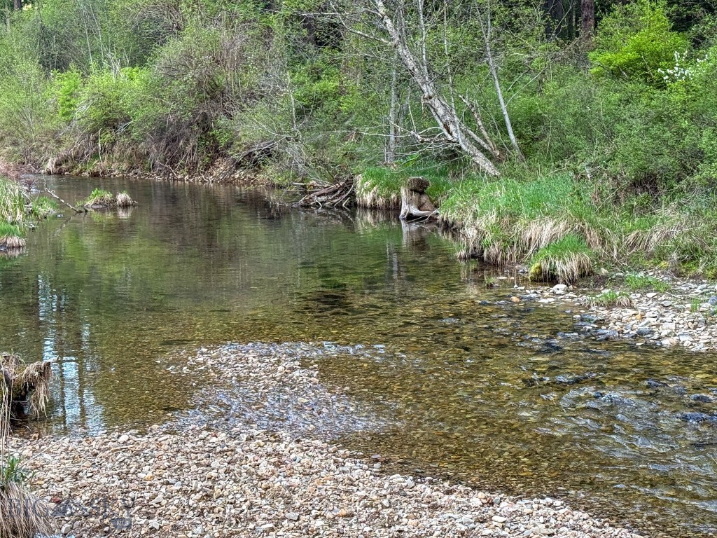 168 Hope Valley Road, Trout Creek MT 59874