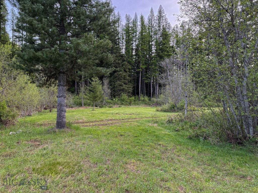 168 Hope Valley Road, Trout Creek MT 59874