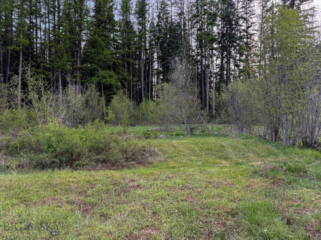 168 Hope Valley Road, Trout Creek MT 59874