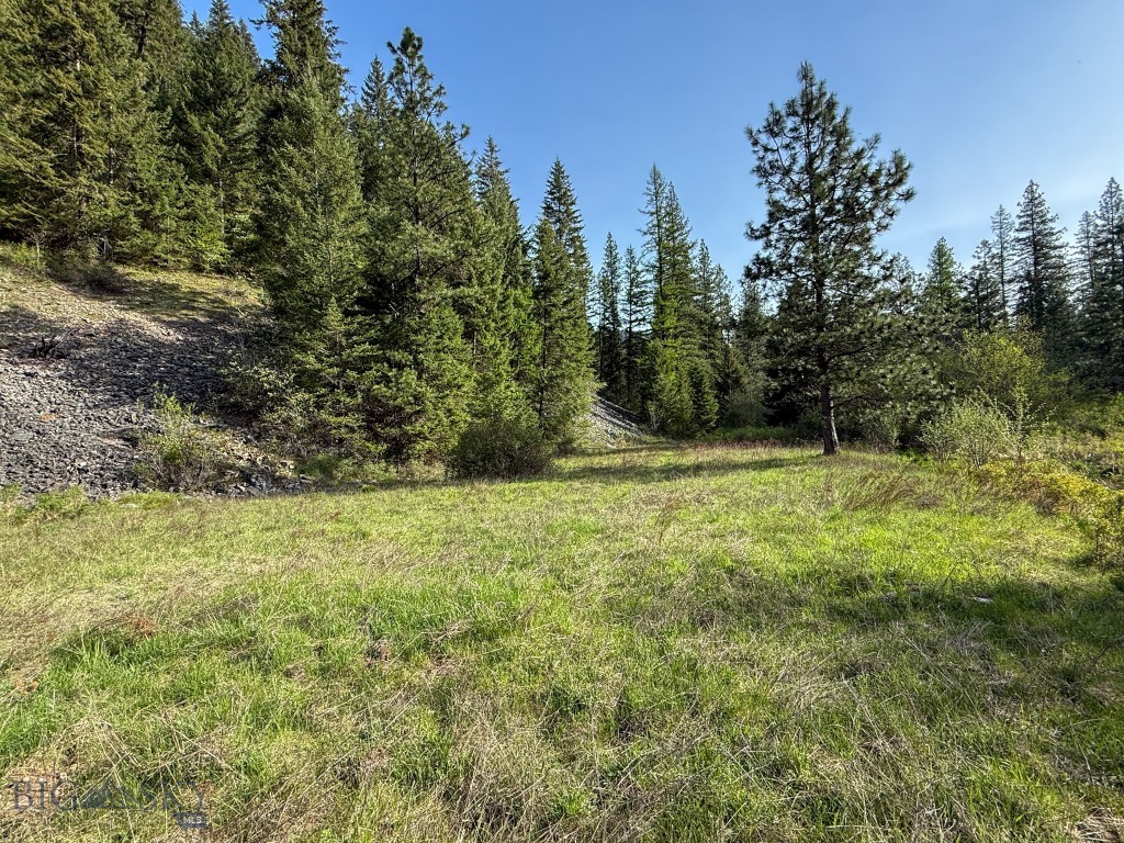 168 Hope Valley Road, Trout Creek MT 59874