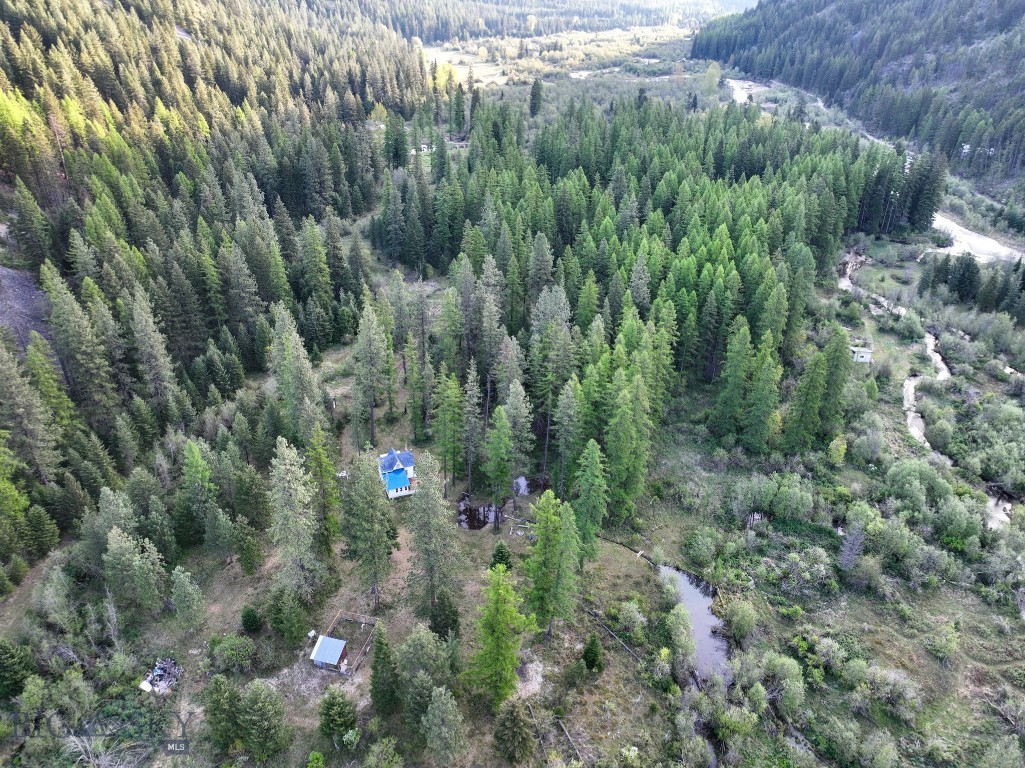 168 Hope Valley Road, Trout Creek MT 59874