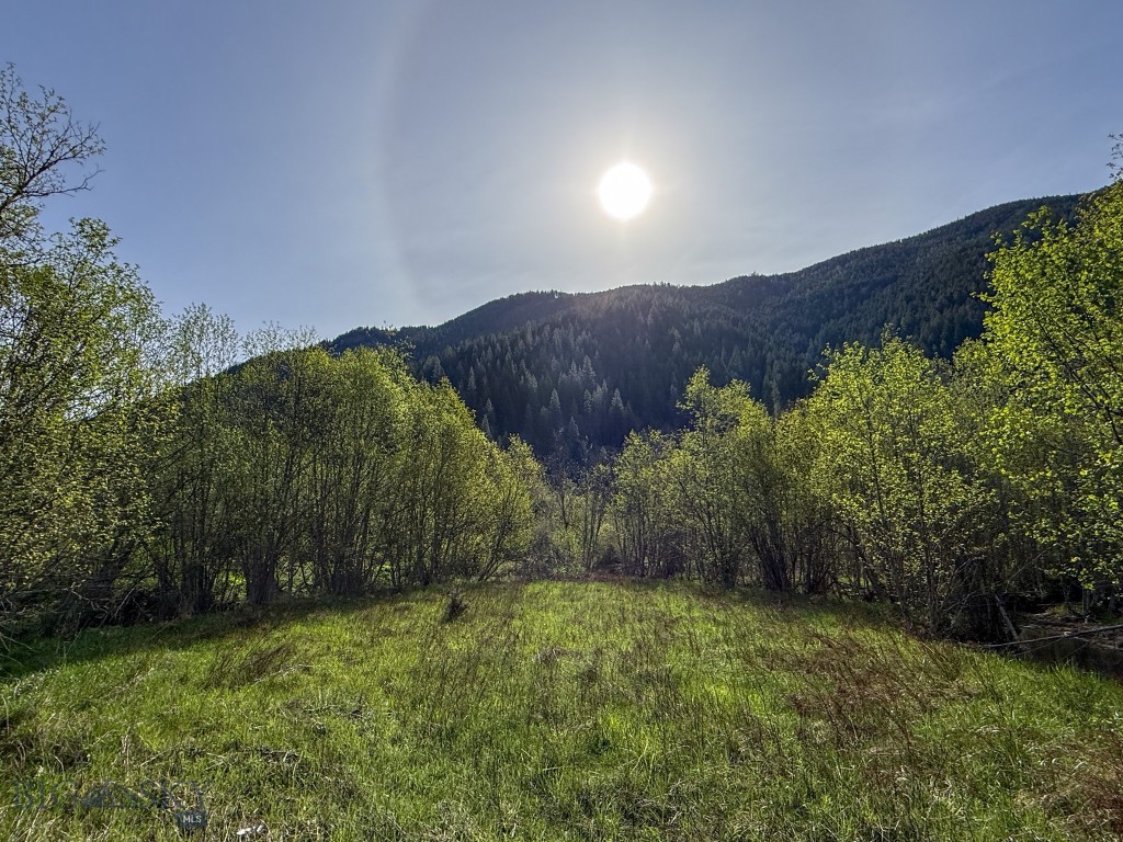 168 Hope Valley Road, Trout Creek MT 59874