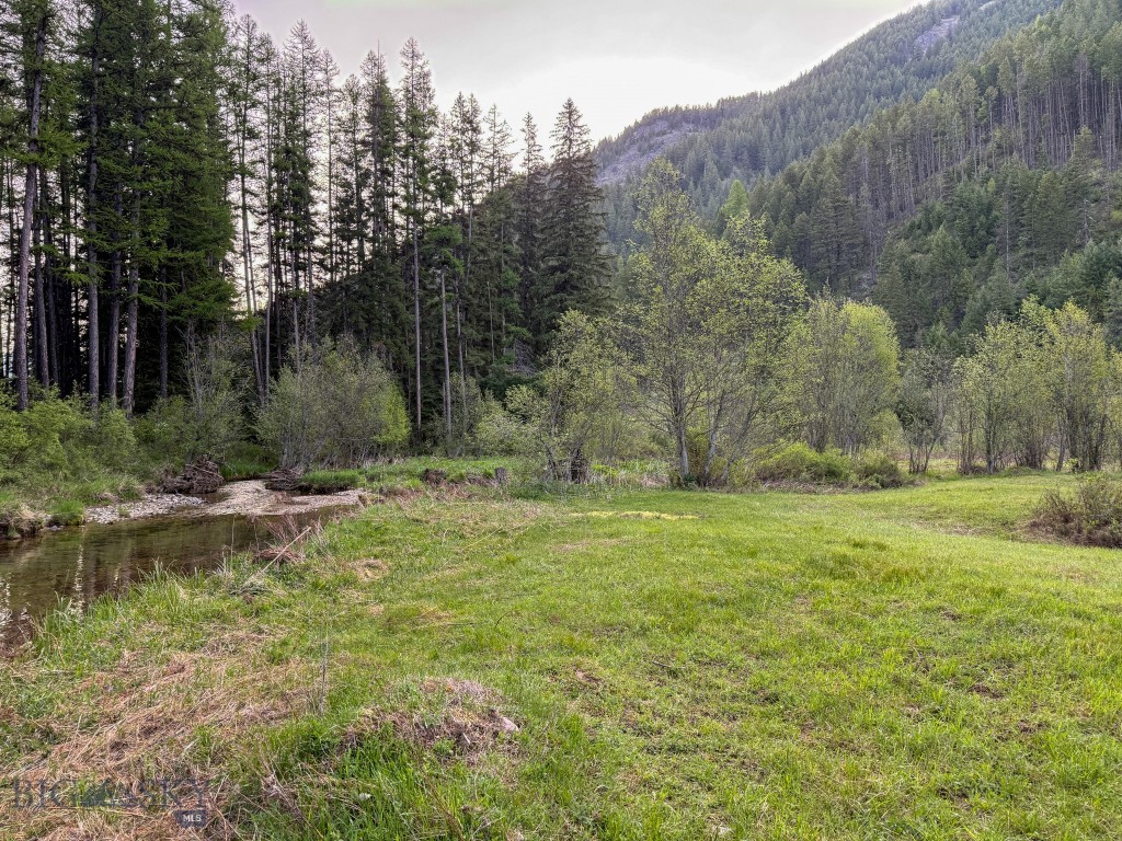 168 Hope Valley Road, Trout Creek MT 59874
