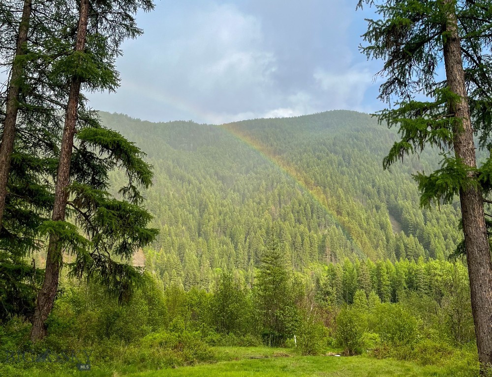 168 Hope Valley Road, Trout Creek MT 59874