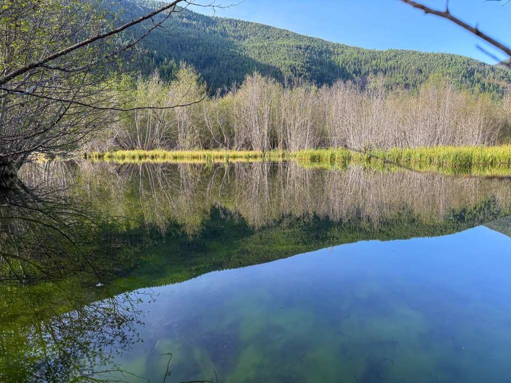168 Hope Valley Road, Trout Creek MT 59874