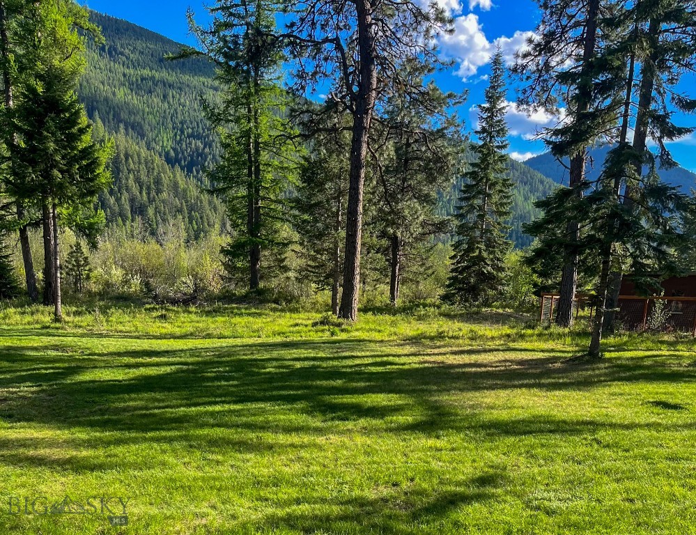 168 Hope Valley Road, Trout Creek MT 59874