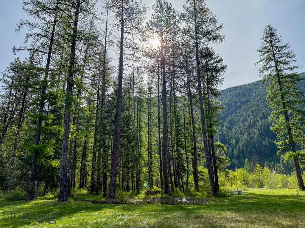 168 Hope Valley Road, Trout Creek MT 59874