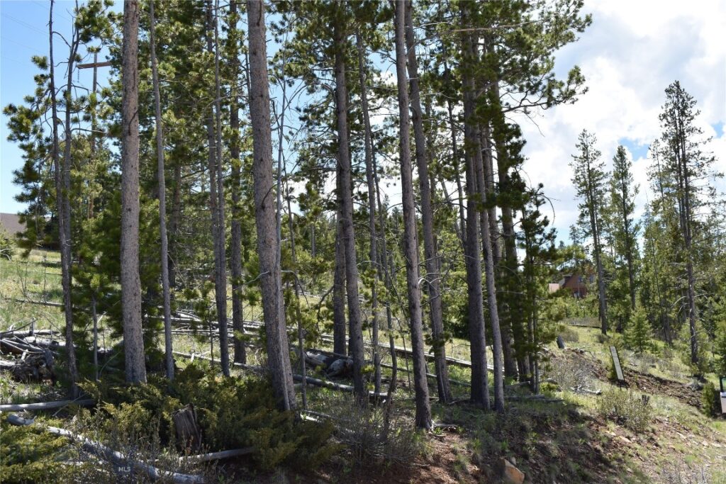 16 Mule Deer Lane, Anaconda MT 59711