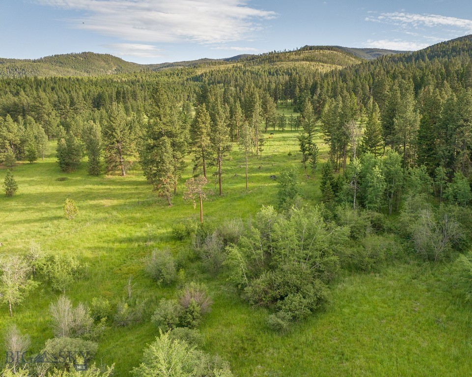 587 Cozy Lane, Helmville MT 59843