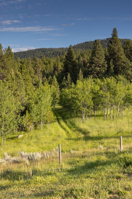 587 Cozy Lane, Helmville MT 59843