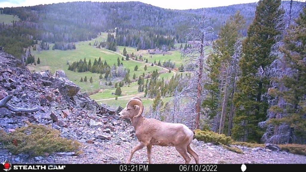 TBD Indian Creek Road, Townsend MT 59644