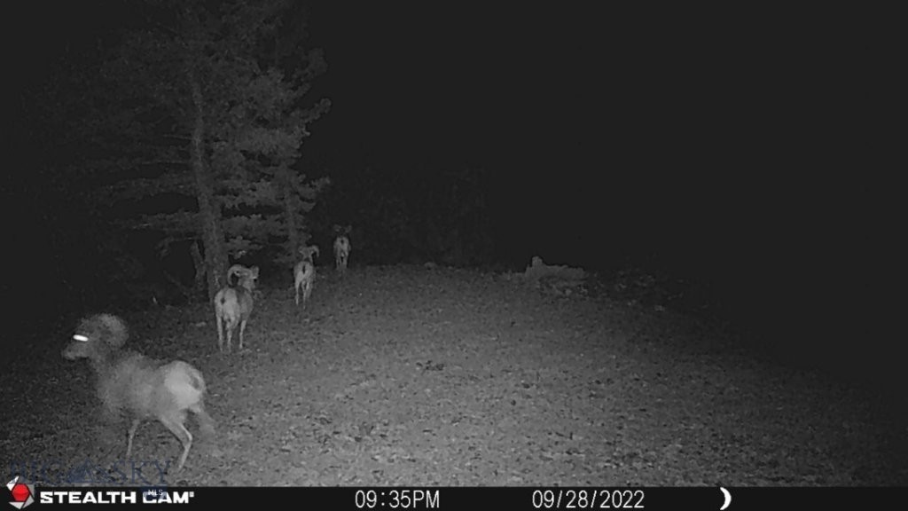 TBD Indian Creek Road, Townsend MT 59644