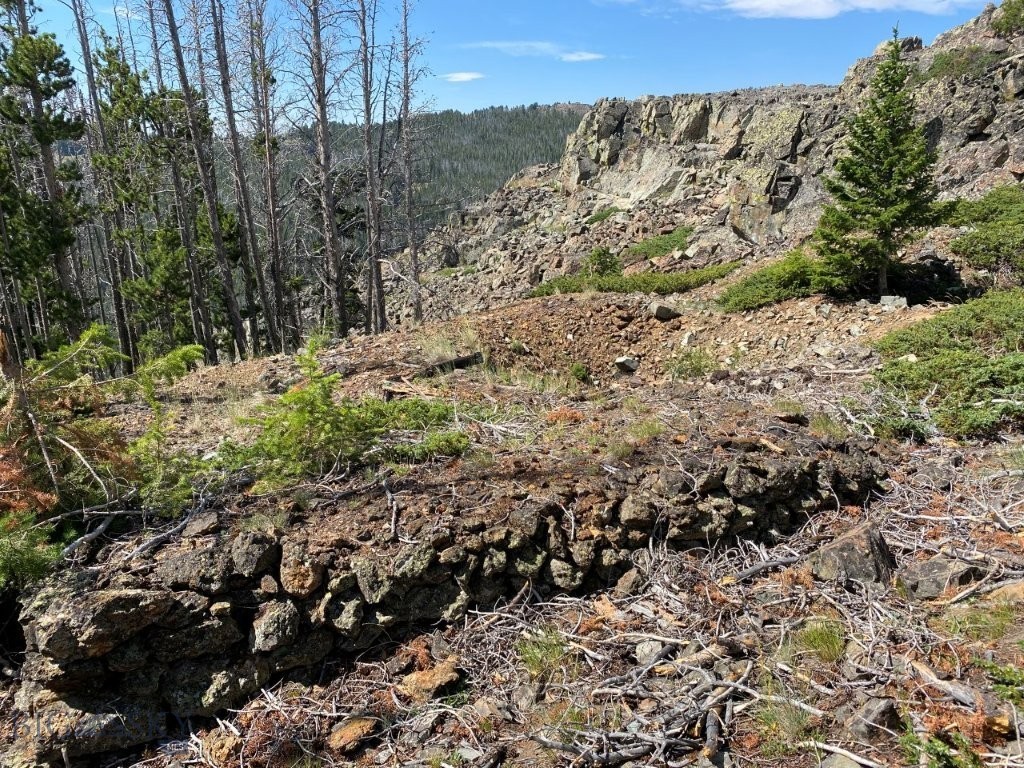 TBD Indian Creek Road, Townsend MT 59644