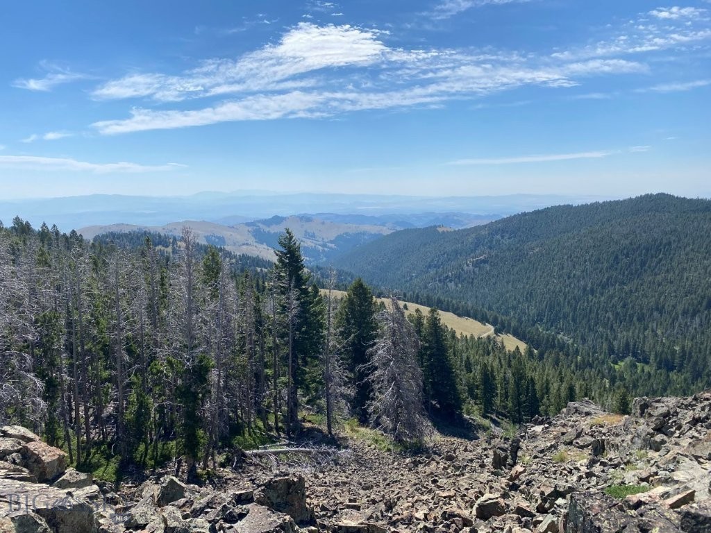 TBD Indian Creek Road, Townsend MT 59644
