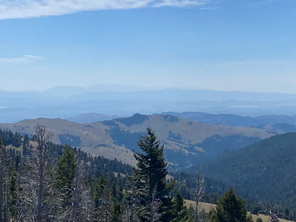 TBD Indian Creek Road, Townsend MT 59644