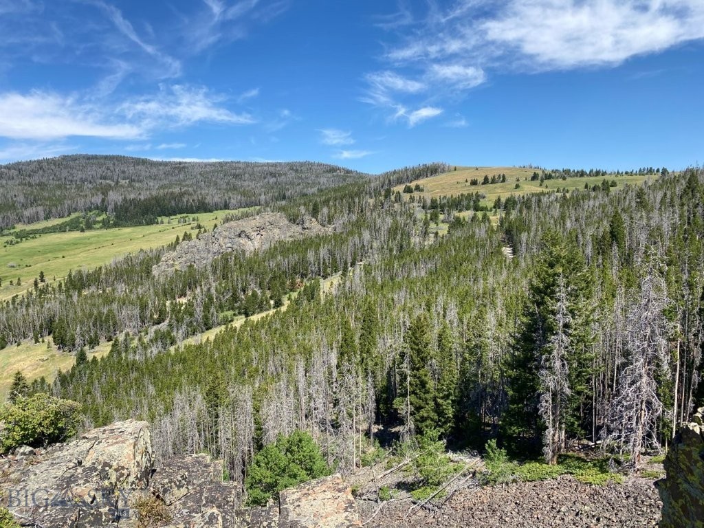 TBD Indian Creek Road, Townsend MT 59644