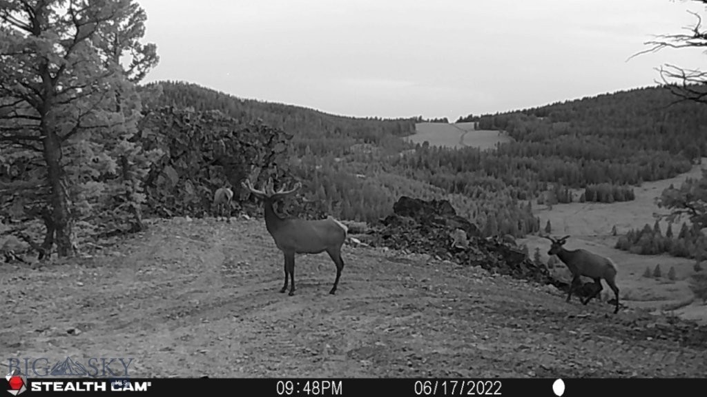 TBD Indian Creek Road, Townsend MT 59644
