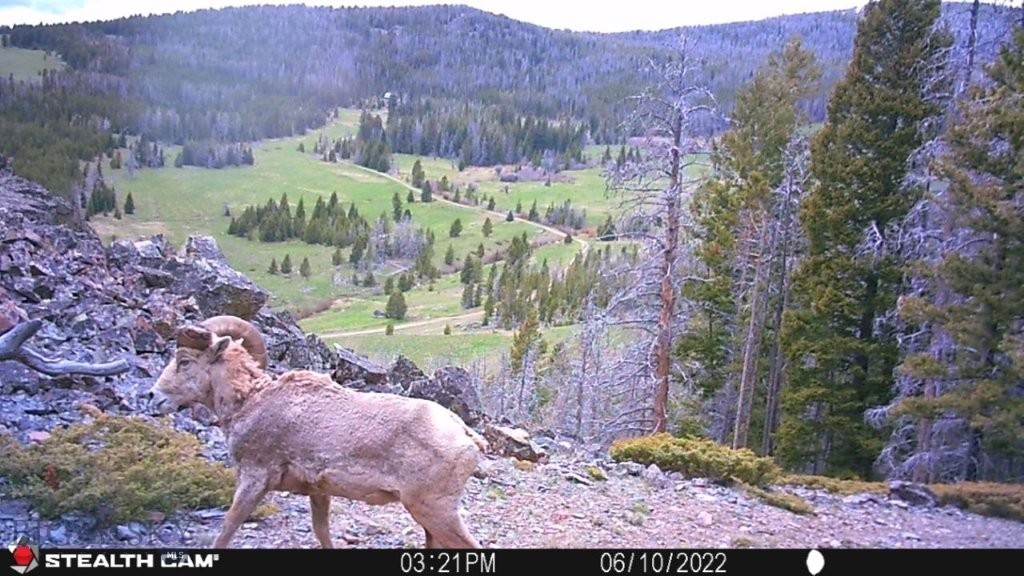 TBD Indian Creek Road, Townsend MT 59644