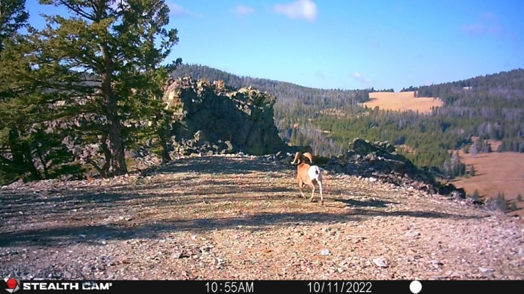 TBD Indian Creek Road, Townsend MT 59644