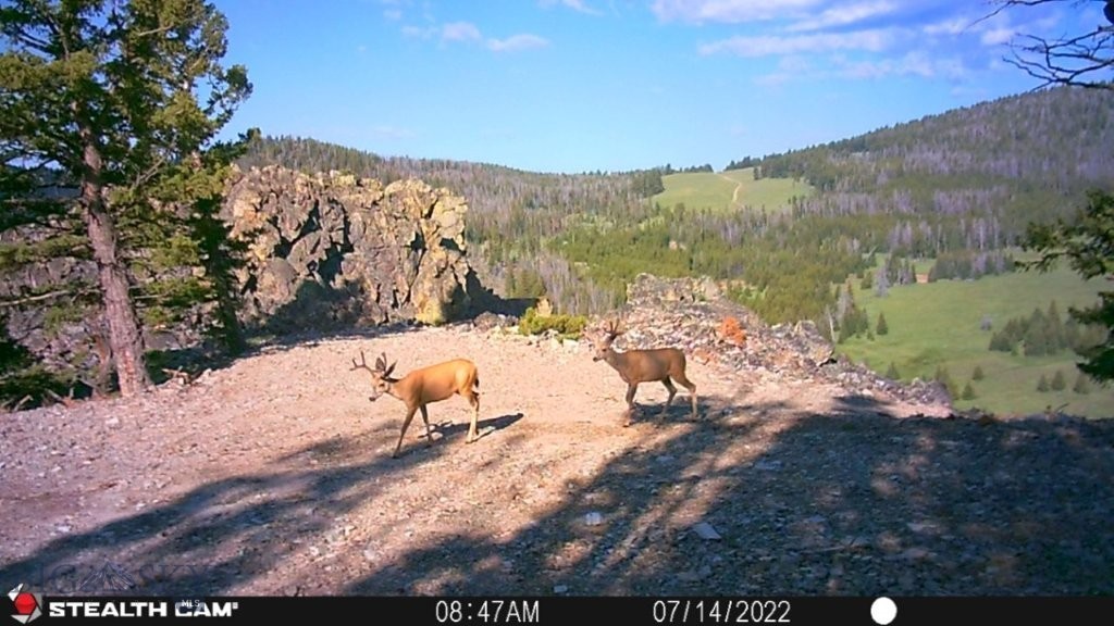TBD Indian Creek Road, Townsend MT 59644