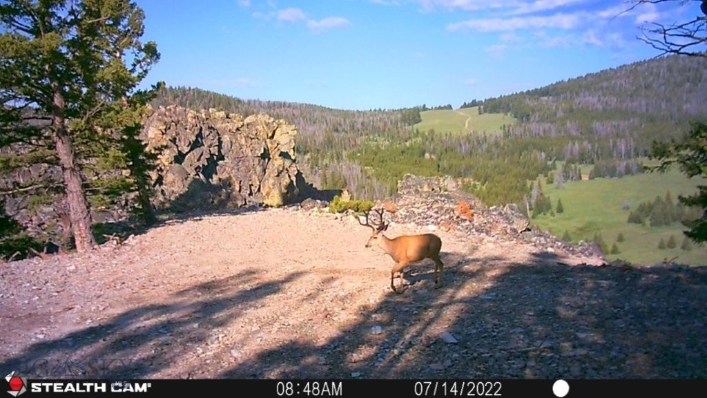 TBD Indian Creek Road, Townsend MT 59644