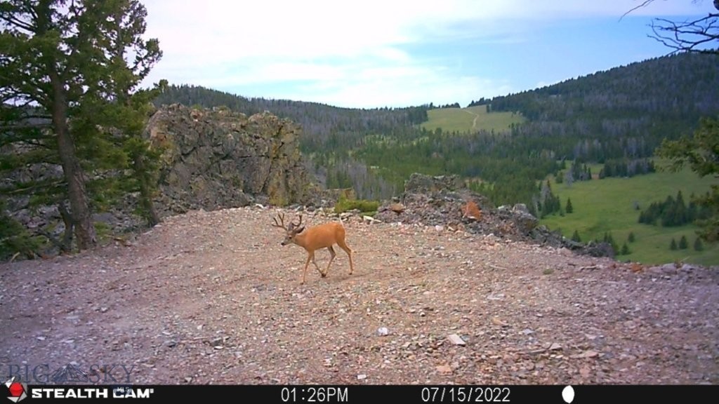 TBD Indian Creek Road, Townsend MT 59644