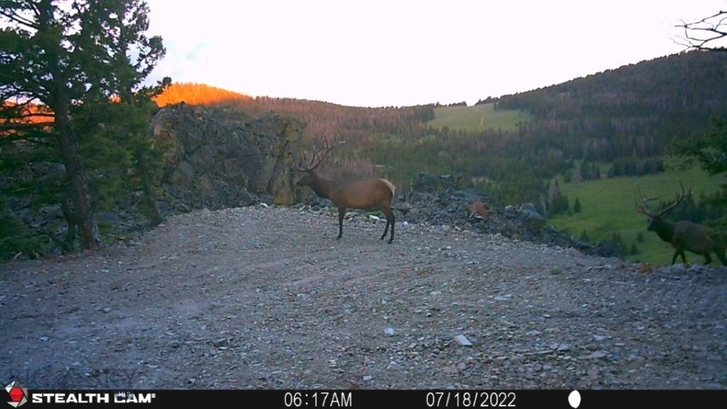 TBD Indian Creek Road, Townsend MT 59644