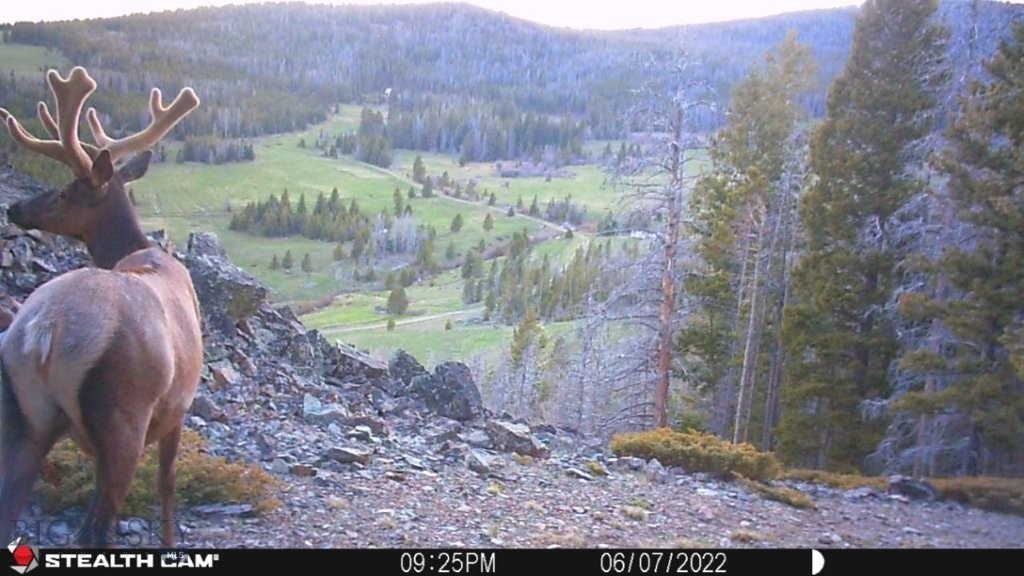 TBD Indian Creek Road, Townsend MT 59644