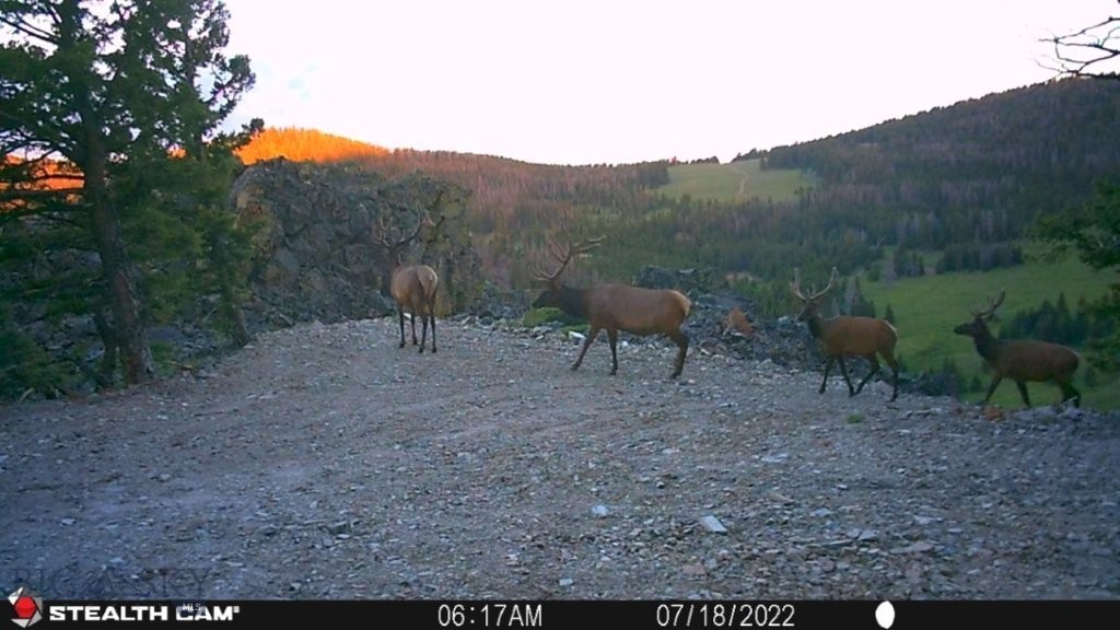 TBD Indian Creek Road, Townsend MT 59644