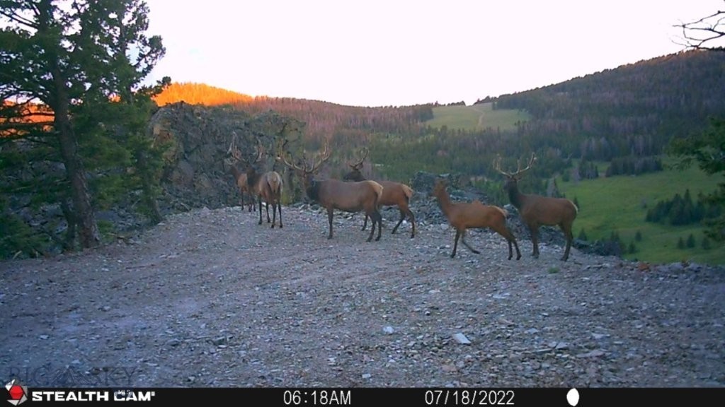 TBD Indian Creek Road, Townsend MT 59644