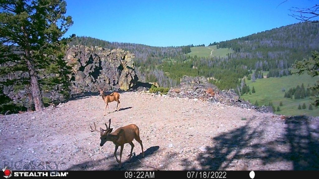 TBD Indian Creek Road, Townsend MT 59644