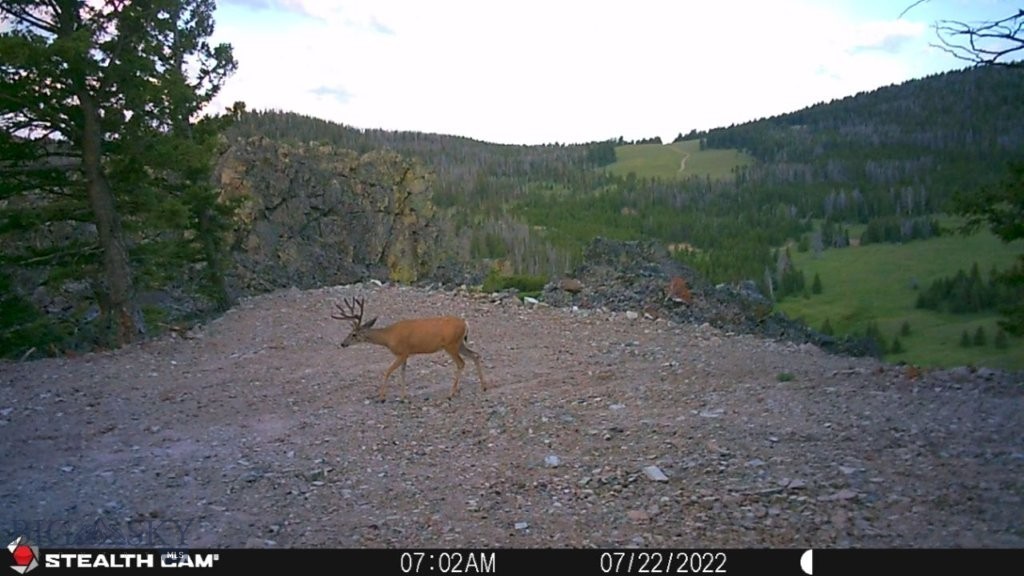 TBD Indian Creek Road, Townsend MT 59644