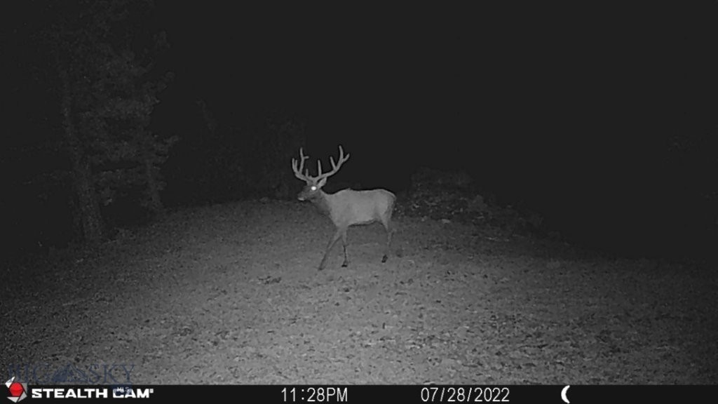 TBD Indian Creek Road, Townsend MT 59644