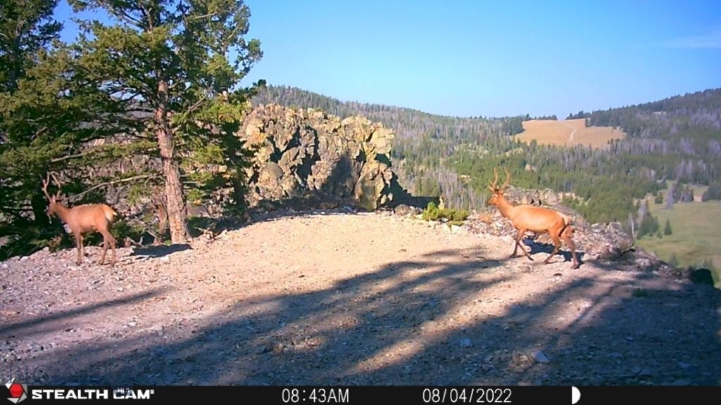 TBD Indian Creek Road, Townsend MT 59644