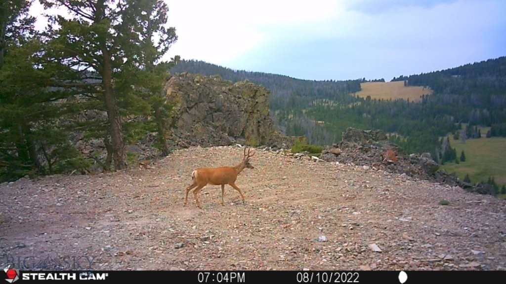 TBD Indian Creek Road, Townsend MT 59644