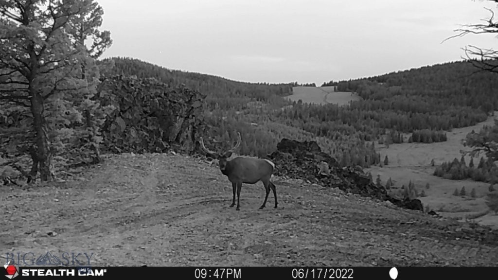 TBD Indian Creek Road, Townsend MT 59644
