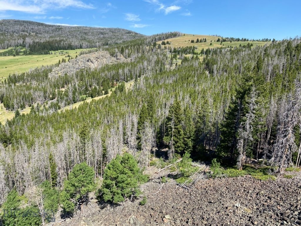 TBD Indian Creek Road, Townsend MT 59644