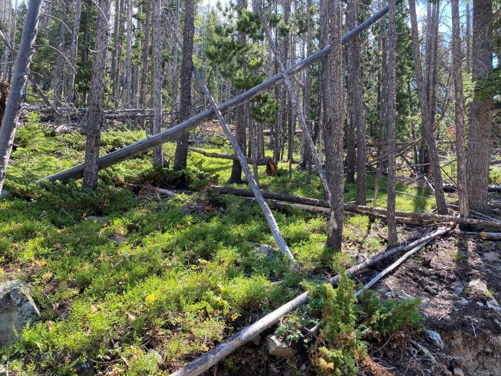 TBD Indian Creek Road, Townsend MT 59644