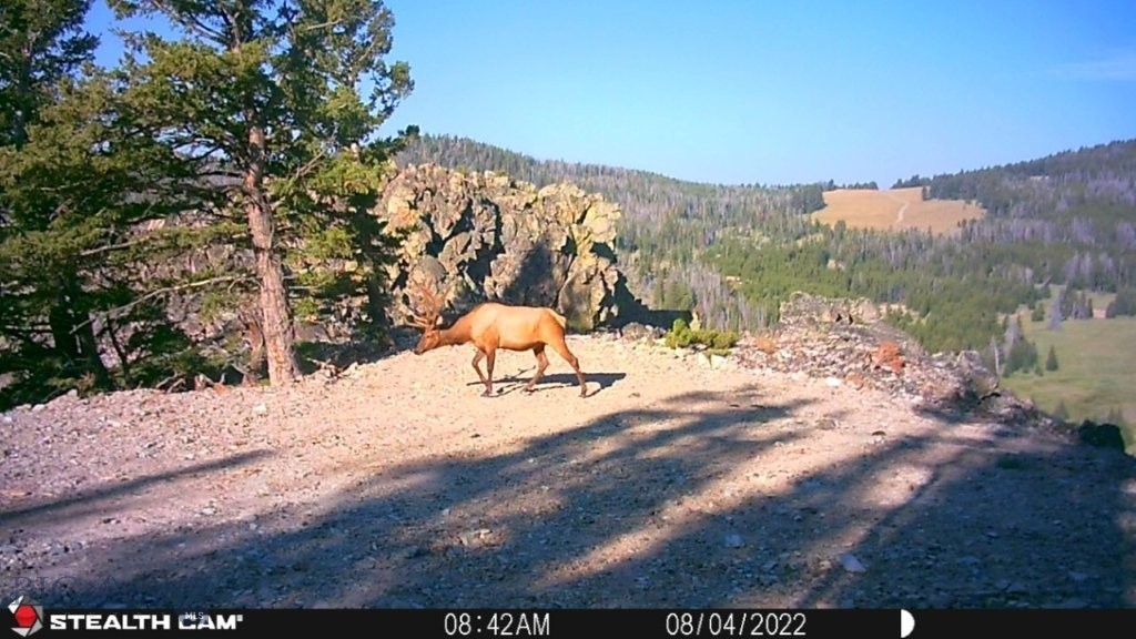 TBD Indian Creek Road, Townsend MT 59644